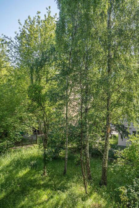 Rozana, Stary Mokotow Apartament *